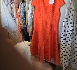 Elegant Orange Dress